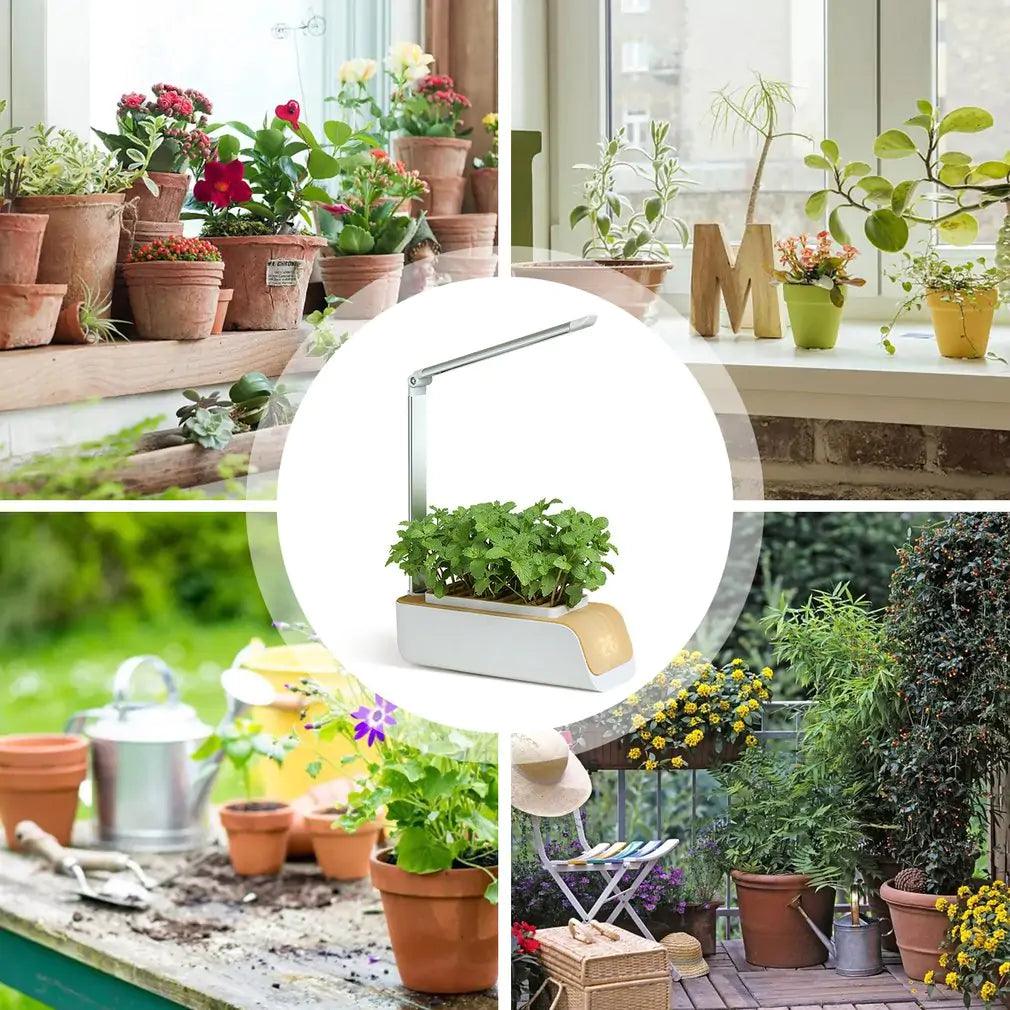 Smart Flower Pot ADIAMANT FINDS