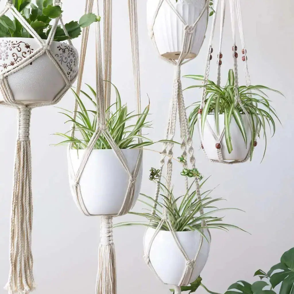 Macrame Plant Hangers VELVET VOGUE