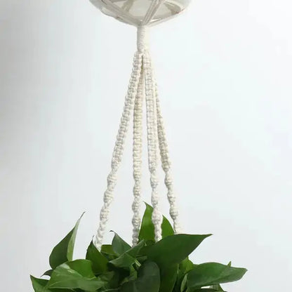 Macrame Plant Hangers VELVET VOGUE