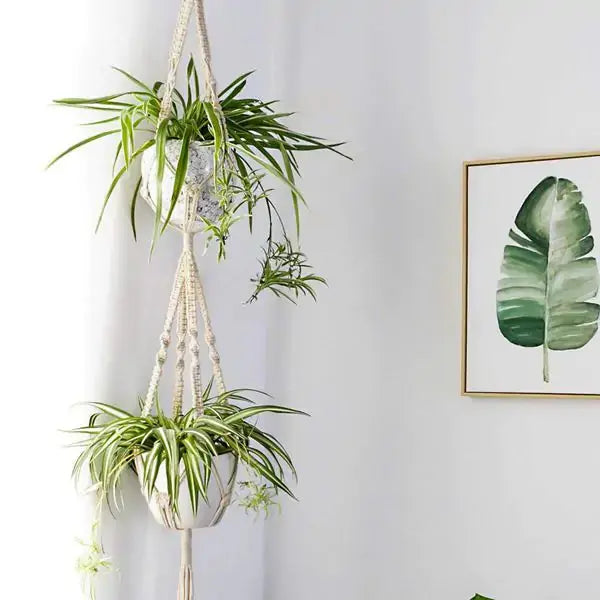 Macrame Plant Hangers VELVET VOGUE