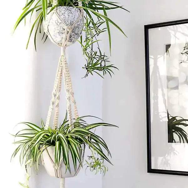 Macrame Plant Hangers VELVET VOGUE