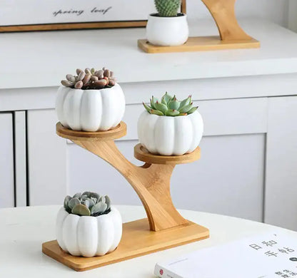 Succulent Pots & Bamboo Shelf VELVET VOGUE